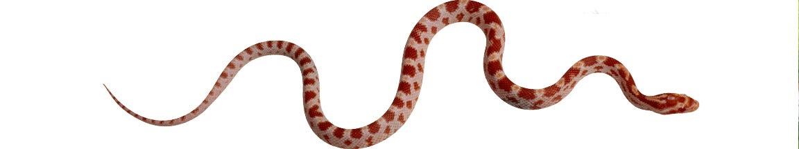 Snake Control